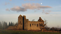 torwood 01