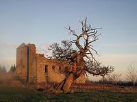torwood 04