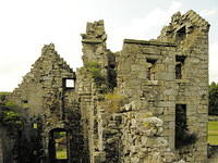 torwood 05