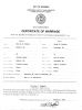 Marriage Certificate - FOSTER+Kimpton